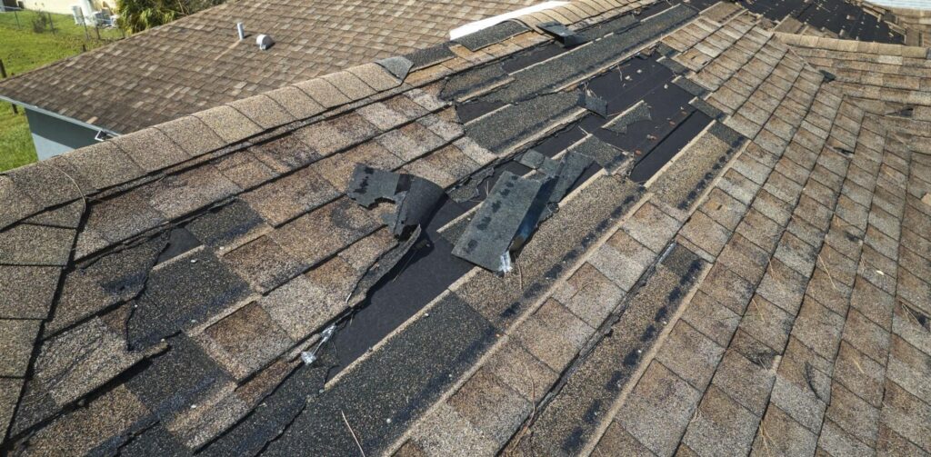 Wind storm damage with lifted and torn shingles on a Twin Cities roof.