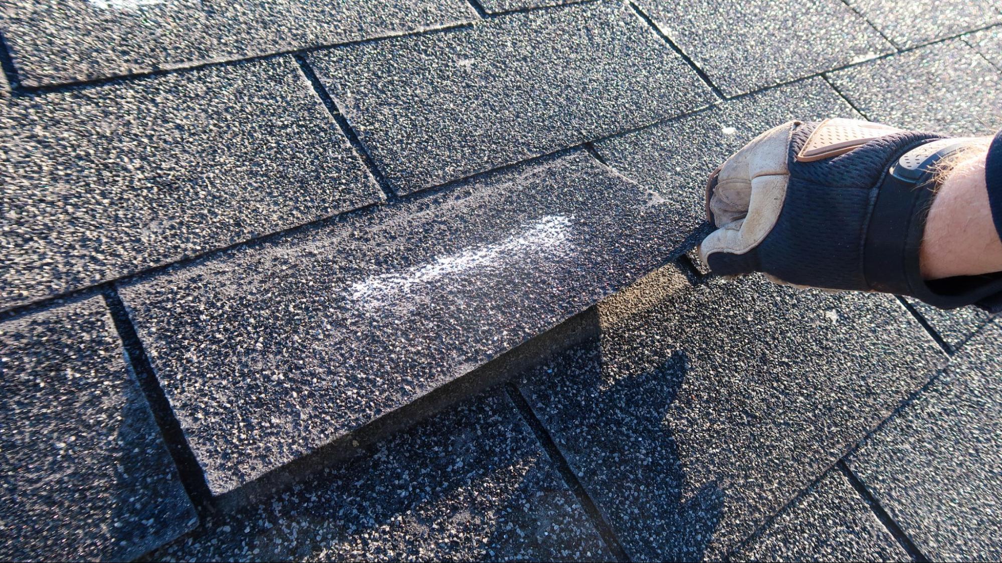 Lakeside Roofing & Remodeling inspecting wind-damaged shingles for storm damage restoration in the Twin Cities.